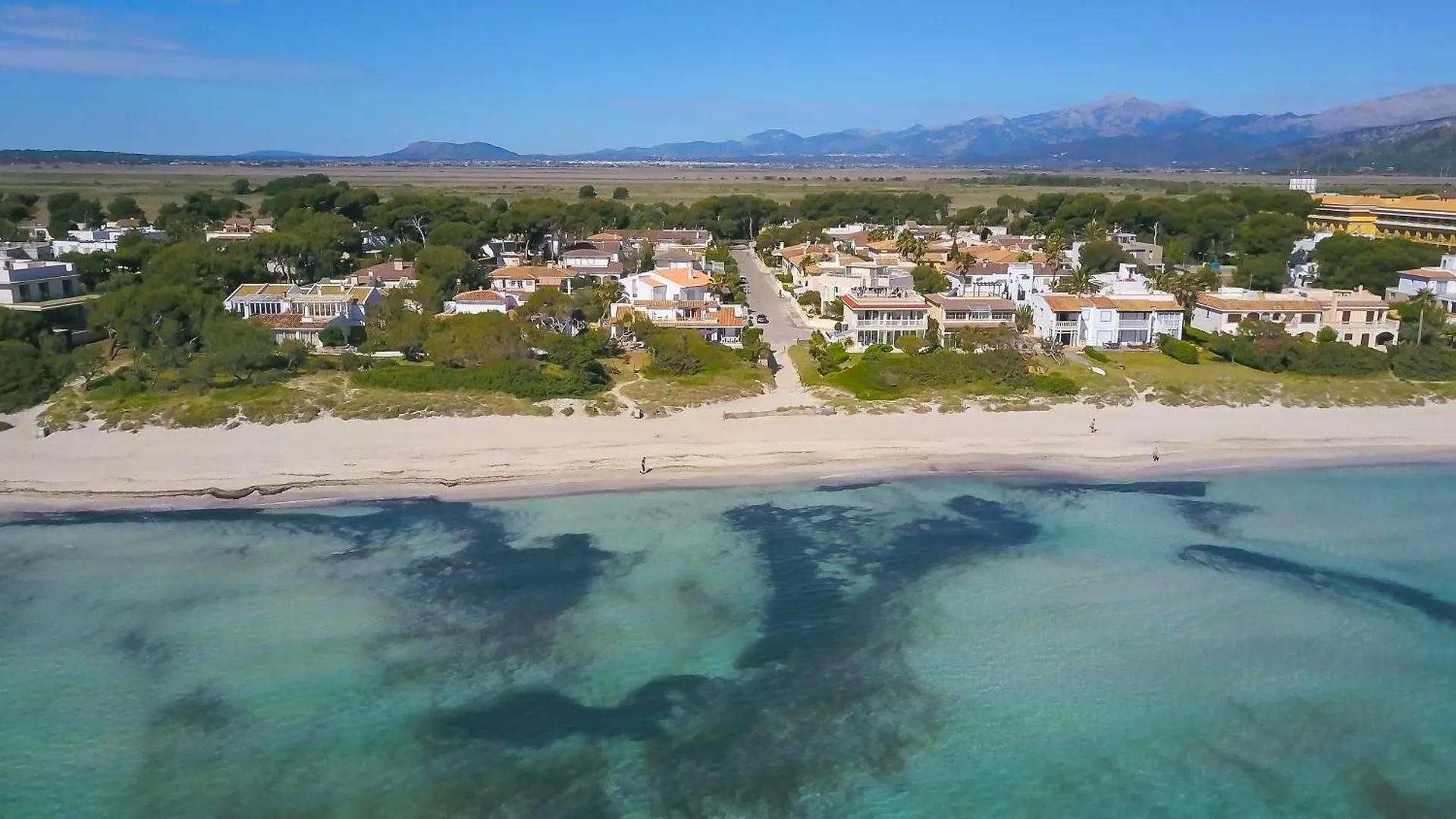 Canta Playa de Muro  Spain
